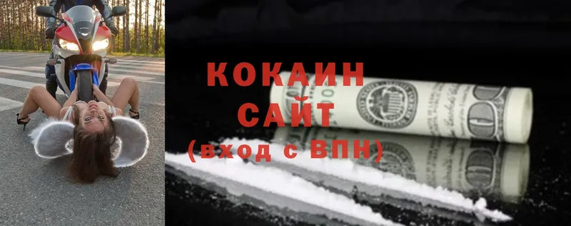 COCAIN Эквадор  Олонец 